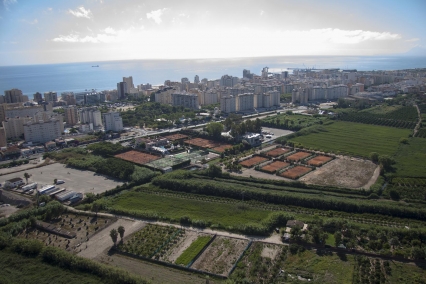 La zona de ocio de la playa de Gandia entre el marjal y la Nazaret-Oliva se aplaza durante dos años