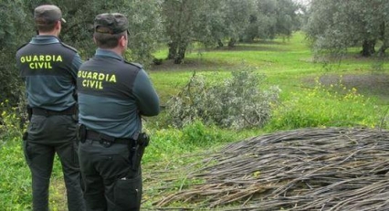 El Gobierno de Oliva habla de seguridad e innovación en la presentación de la nueva Asociación de Agricultores