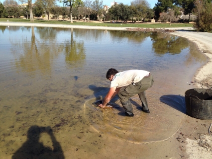 Gandia no se olvida del parque Sant Pere