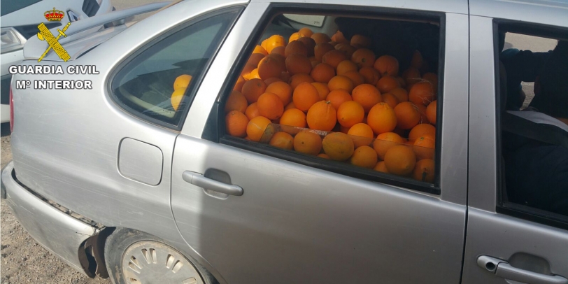 Detenidos 2 hombres con 651 kilos de naranja robada de un campo de Oliva