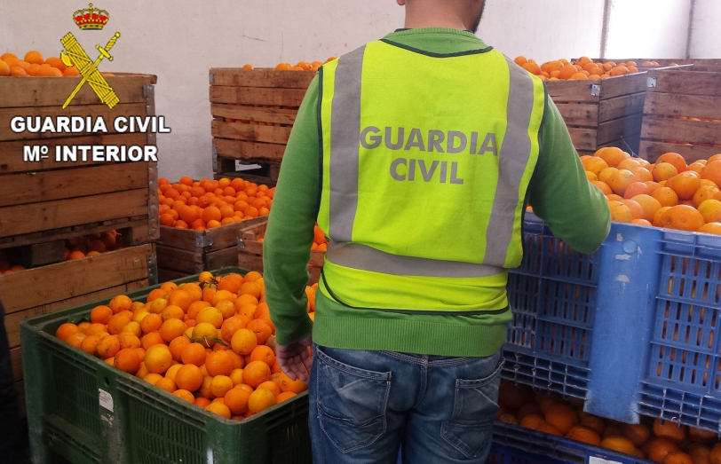 Dos detenidos por la Guardia Civil tras robar 3.500 kg de naranjas