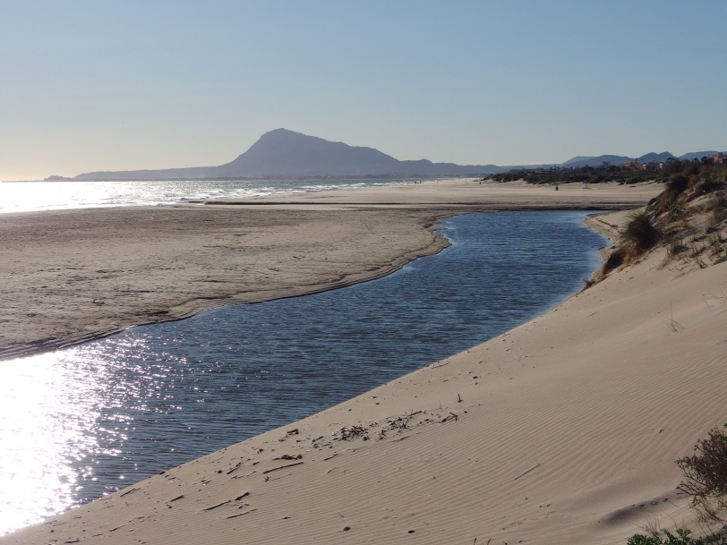 El chiringuito de Rabdells es incompatible con la zona de dunas de Oliva