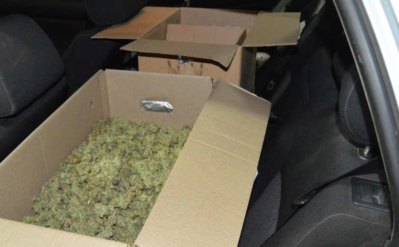 Detenida una persona con 5 kilos de cogollos de marihuana en su casa