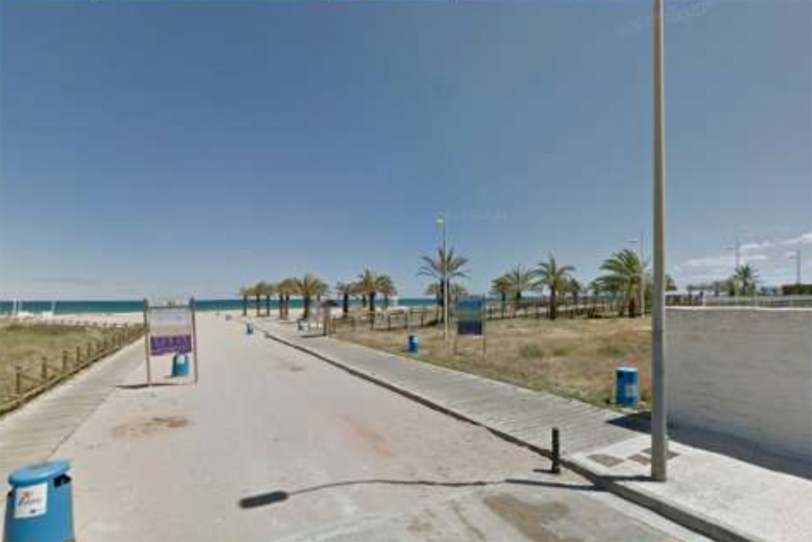 Gandia iza mañana sus banderas y planta especies autóctonas en la playa