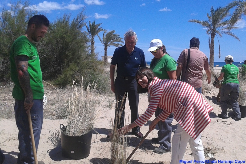 Gandia planta especies autóctonas en la Senda Azul de la playa
