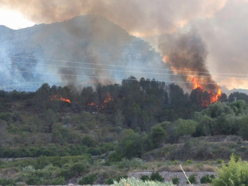 Se declara un incendio forestal en Terrateig cerca de Llocnou