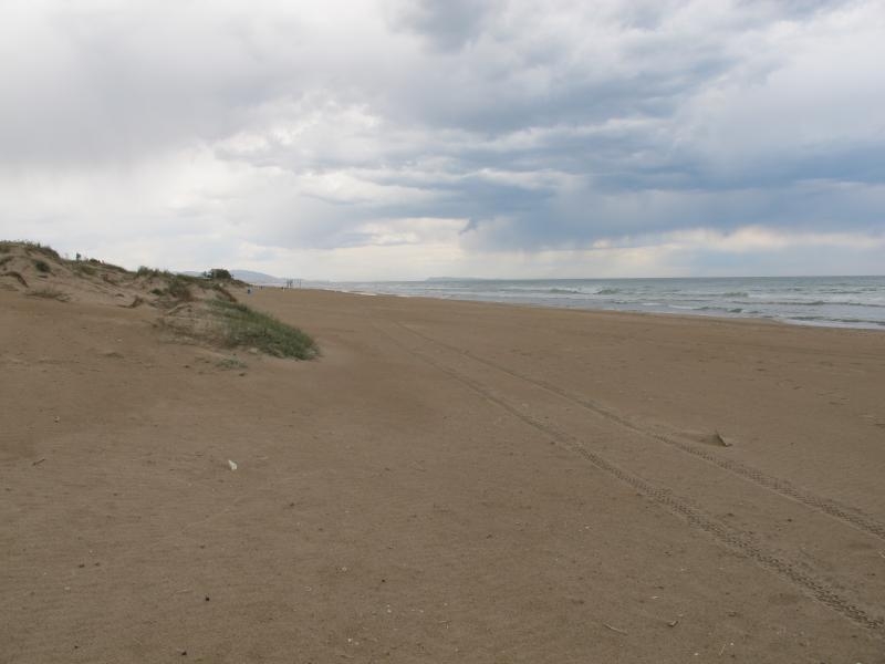 Oliva publica hoy las bases para la adjudicación del chiringuito de Rabdells