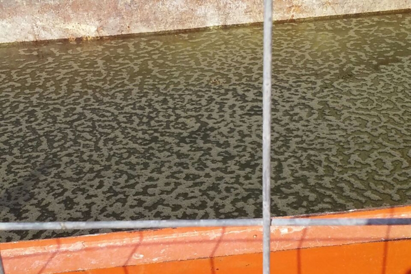 Una mosquifactoría y obras con martillo percutor en la playa de Gandia