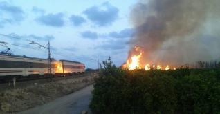 Arde un palmeral en Tavernes de la Valldigna