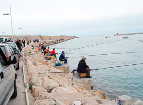 El CD de Pesca Gandia organiza el 2º Concurso Alevin, Infantil y Juvenil