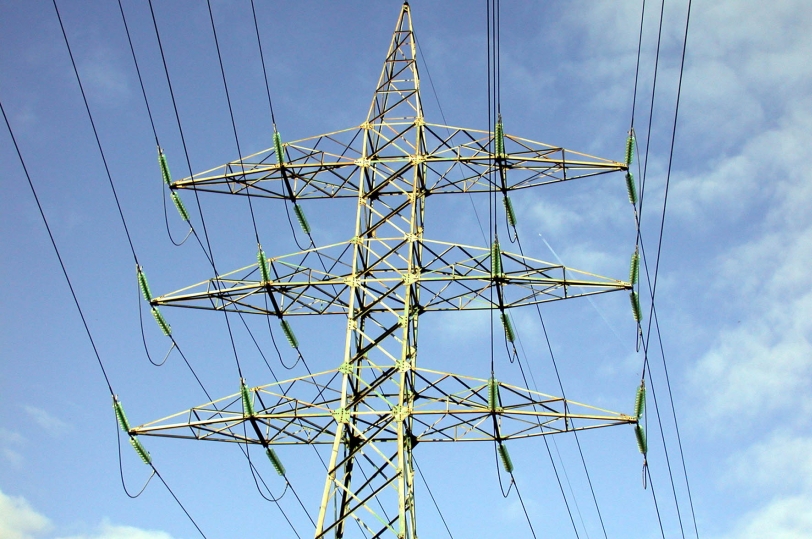 Las torres eléctricas causan la muerte de aves protegidas en la Safor