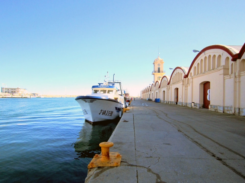 El Puerto de Gandia se consolida como puerta de entrada de papel y celulosa