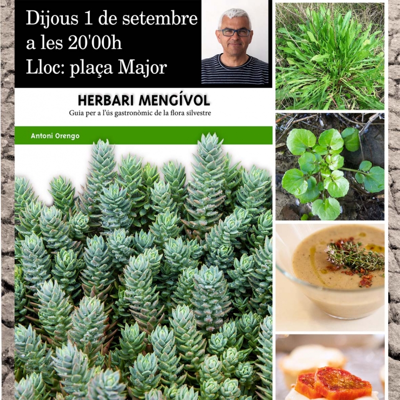 Un herbario comestible recoge recetas sobre ''cama-roges'' y ''llicsons''