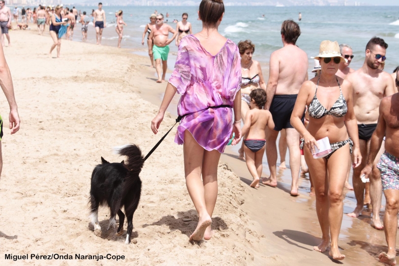 Gandia será sede de la reunión del Consejo de Turismo de la CV