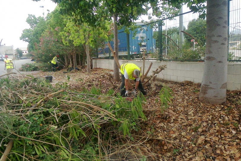 Gandia limpia, con ocho operarios, los jardines del Mercado de Abastos