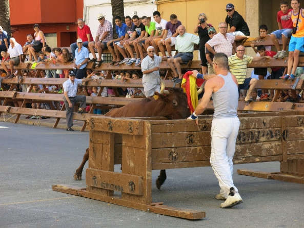 Más de 200 personas no apoyan los toros en Tavernes de la Valldigna