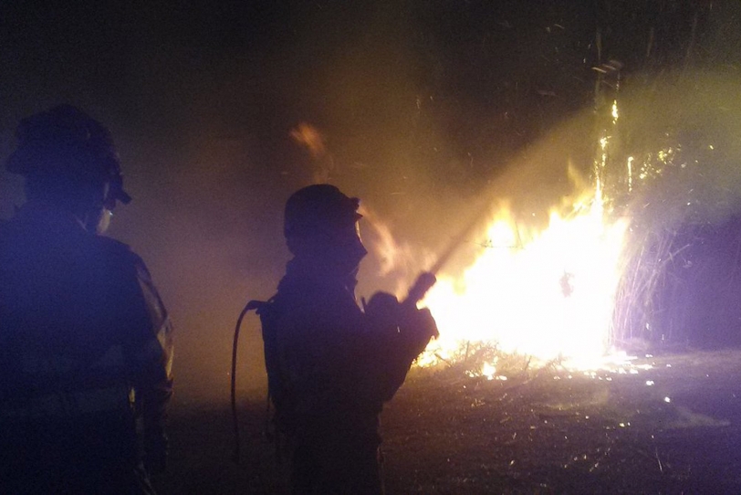 El incendio del marjal sigue activo a la espera de medios aéreos
