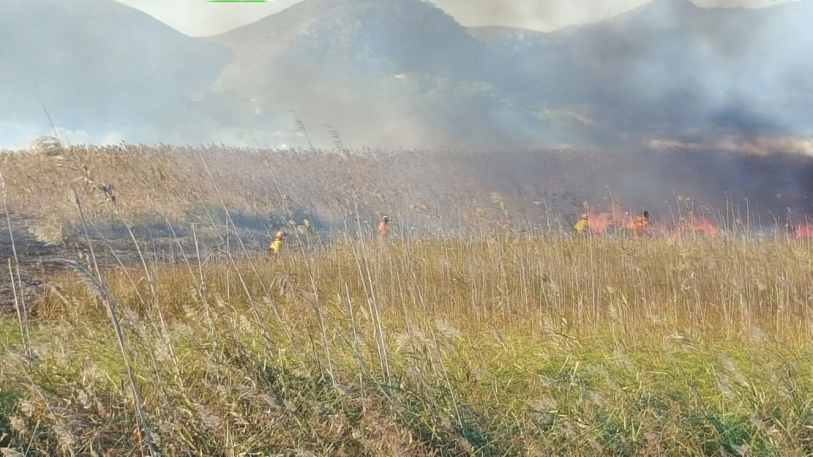 El PP de Gandia al lado de los efectivos que sofocan el fuego del marjal