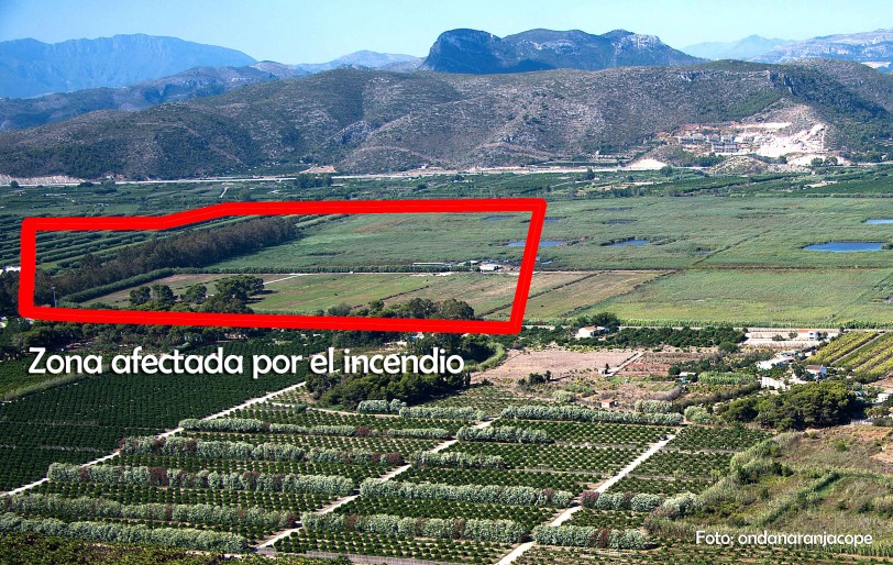 El incendio provocado en la Marjal de Xeresa-Gandia afecta a 150 hectáreas