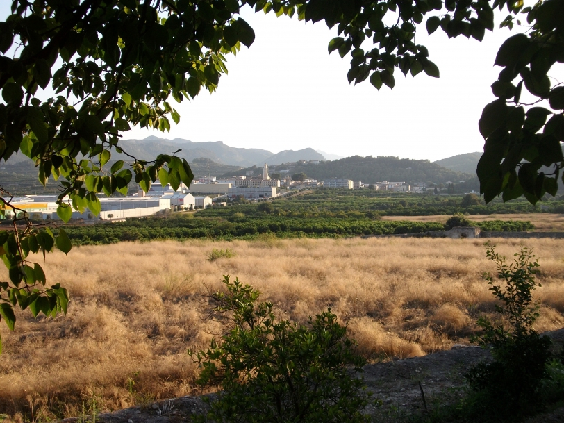 Compromís per Ròtova lamenta que no haya voluntariado medioambiental