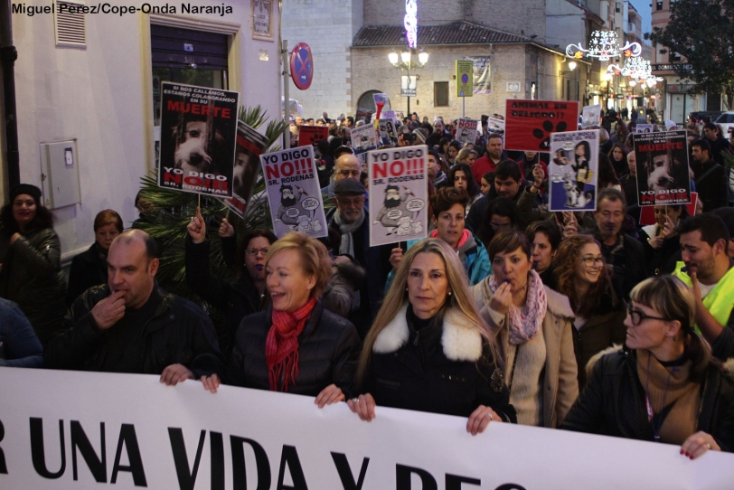 Manifestación contra la política del Gobierno de Gandia con los animales