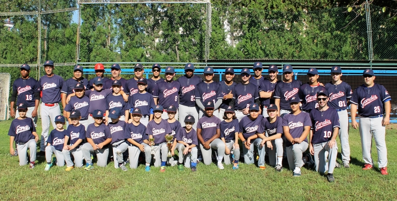 El Gandia Béisbol Club competirá en el Campeonato Autonómico