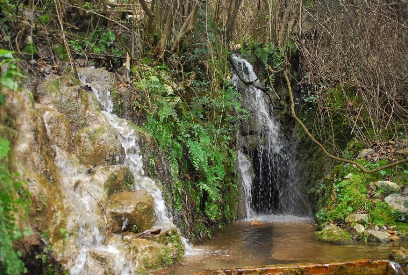 Amics de la Natura organiza una ruta por la Font de Lloret 