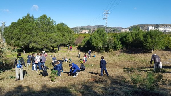 El Día del Árbol de Benirredrà espera contar con cien participantes