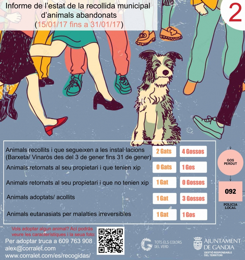 Un perro y un gato son sacrificados en el primer mes de recogida de animales