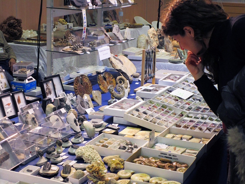 Más de 5.000 personas han visitado la 5ª Feria de Minerales de Oliva