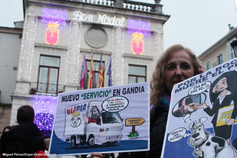 La recogida de animales abandonados en Gandia acabará en los juzgados