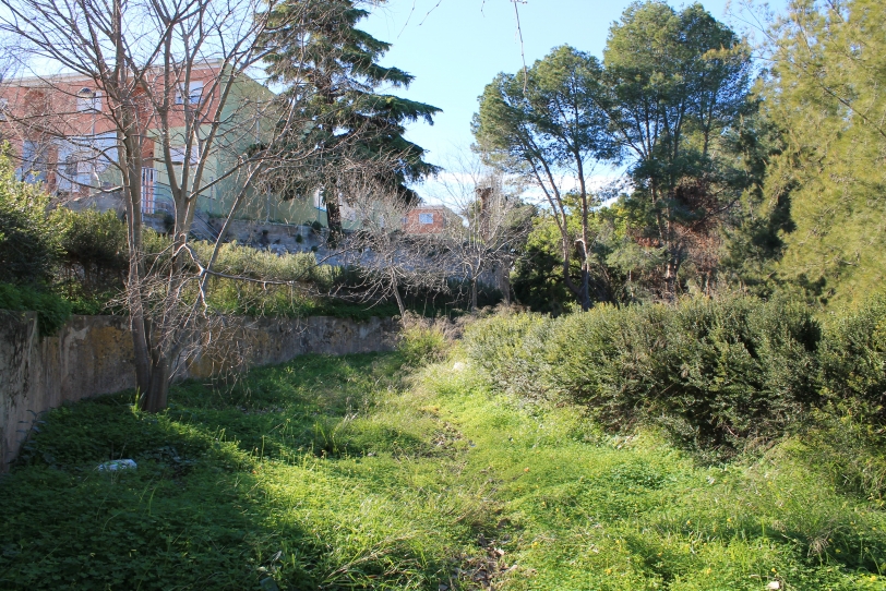 Compromís per Almoines propone crear un Jardín Botánico en el río Serpis