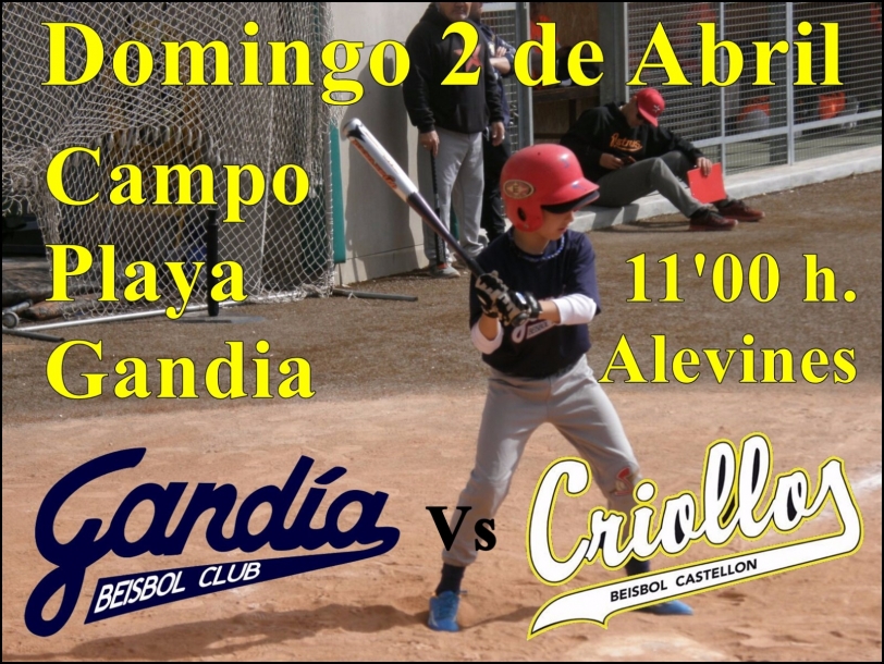 Los alevines del Gandia Béisbol juegan contra el Criollos de Castellón