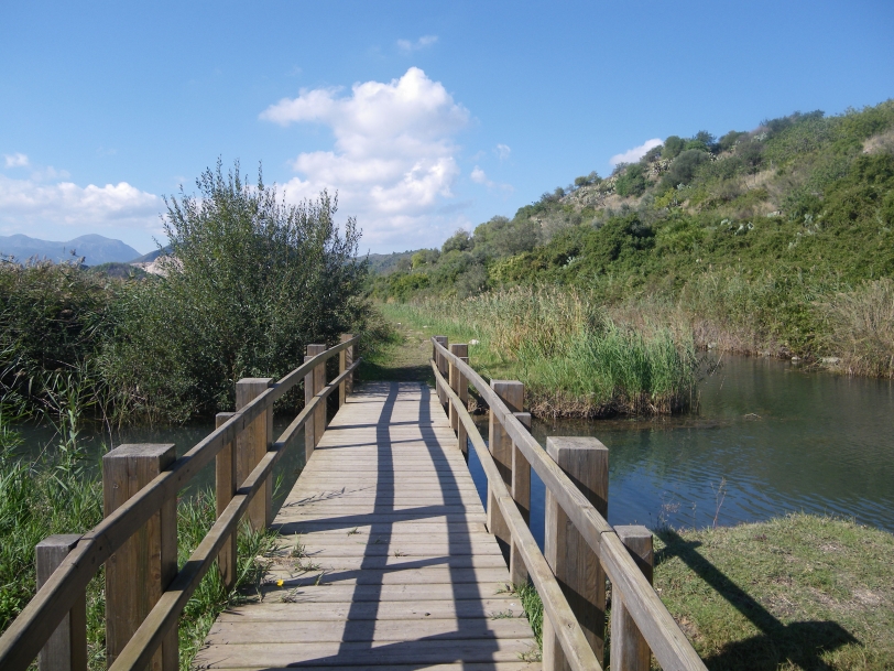El Gobierno de Oliva pretende dar uso turístico al Marjal