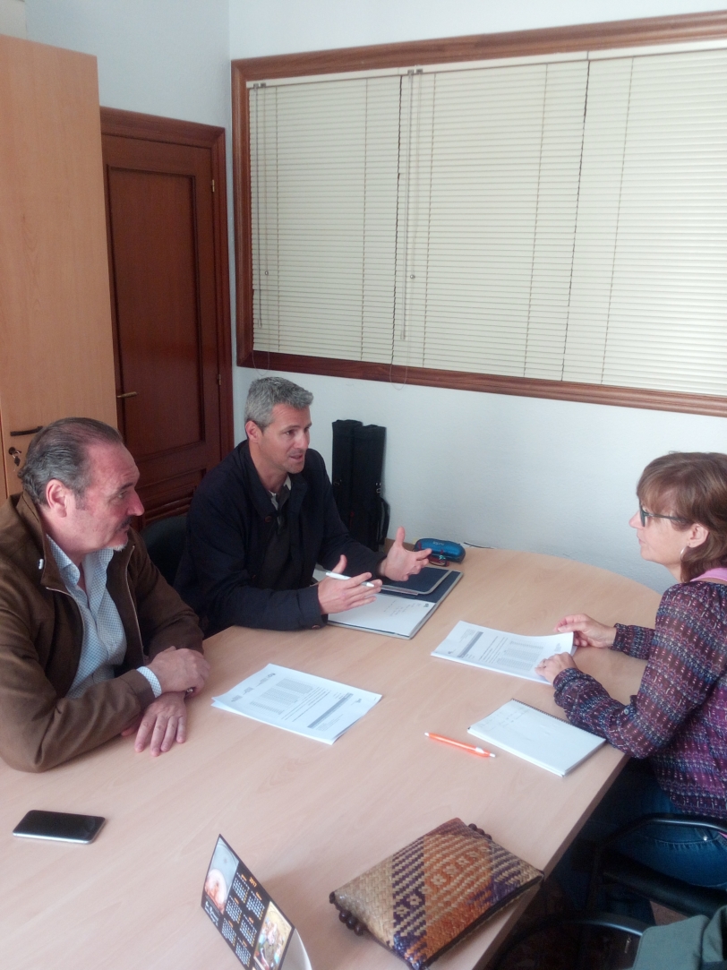 El Ayuntamiento de Oliva inicia una campaña de control de plagas