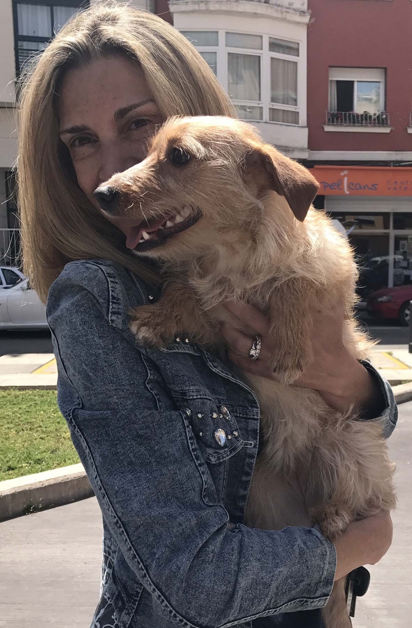 Patitas Casas de Acogida y SPAMA recogen la mitad de animales abandonados