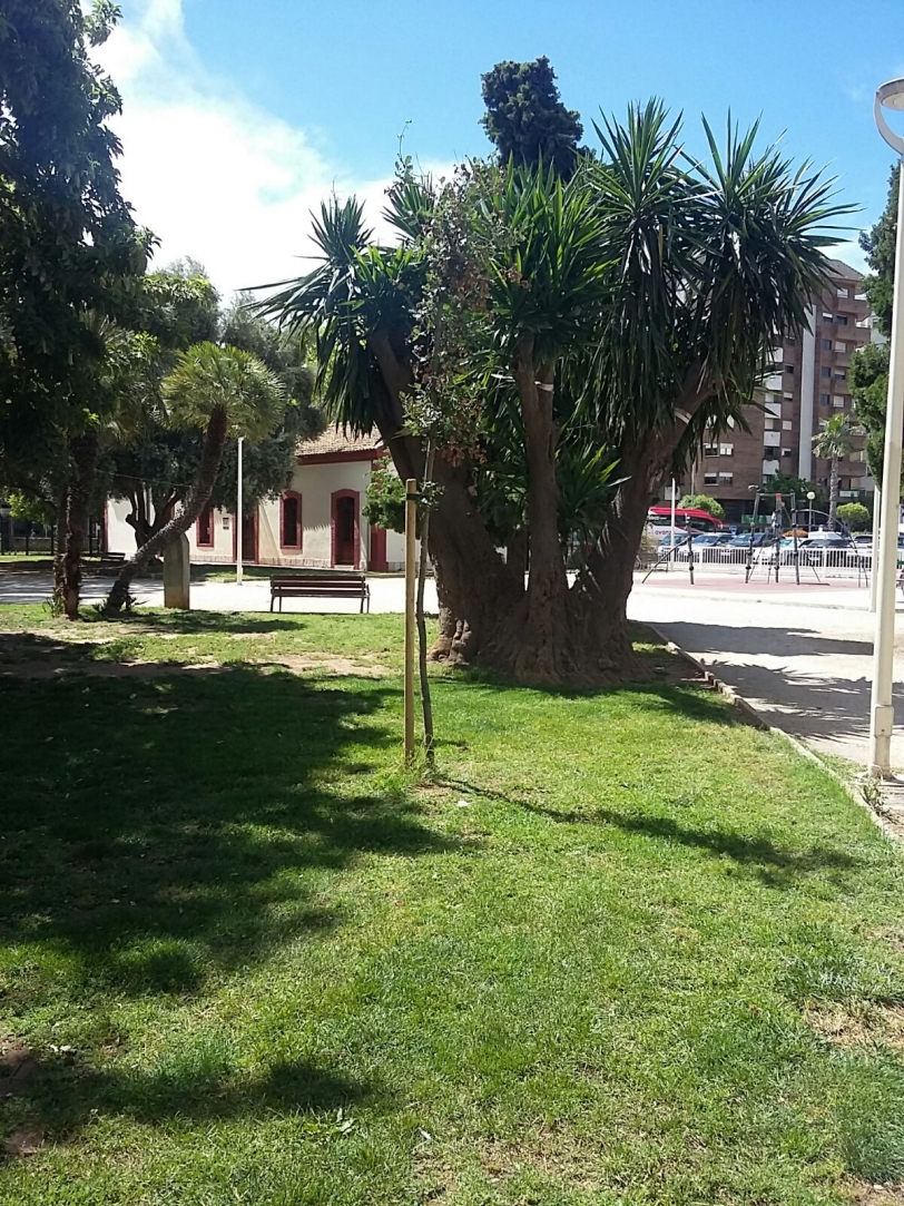 Gandia renueva uno de sus antiguos pulmones verdes de la ciudad
