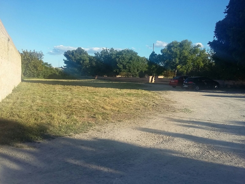 Activem el Serpis continúa mejorando las entradas al río y las zonas verdes
