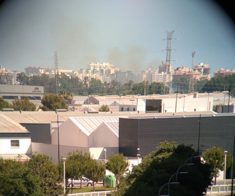Un incendio en la zona del Marjal de Gandia por la zona de la Vaquería