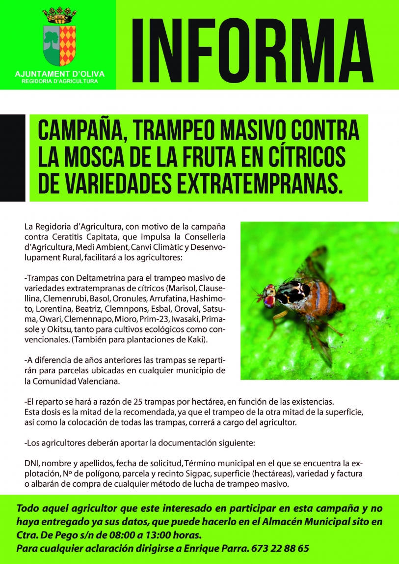 Inicio de la campaña contra la mosca del mediterráneo en Oliva