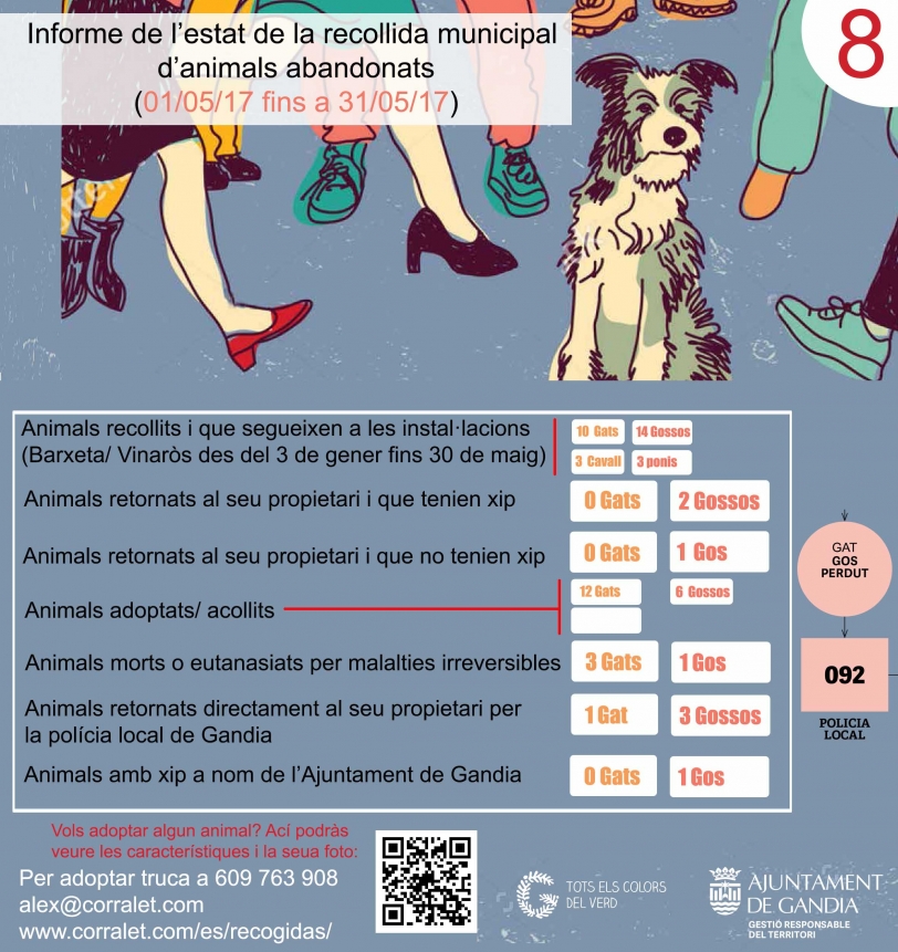 Tres gatos y un perro recogidos en Gandia son sacrificados por El Corralet