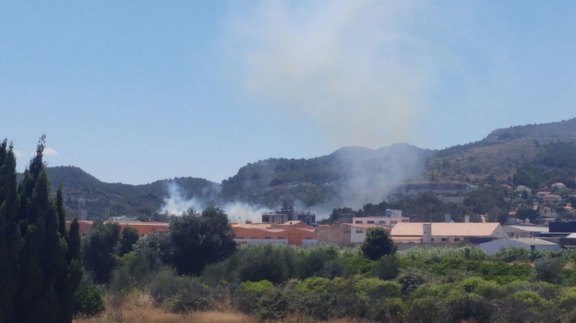 Declarado un pequeño incendio forestal en el Real de Gandia