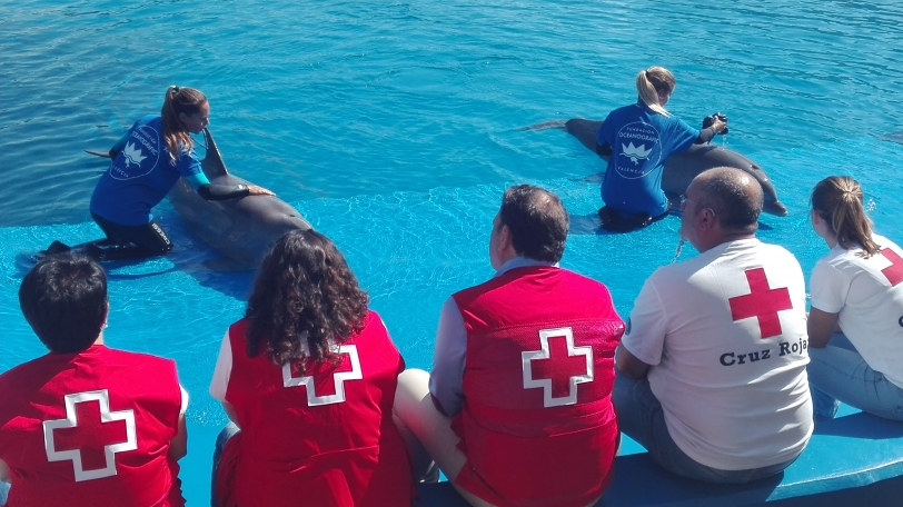 Cruz Roja Gandia colabora en la campaña de encallamiento de animales