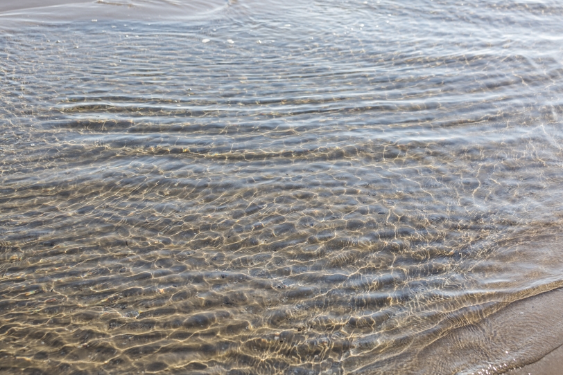 La totalidad de las playas de Oliva goza de una calidad de agua excelente