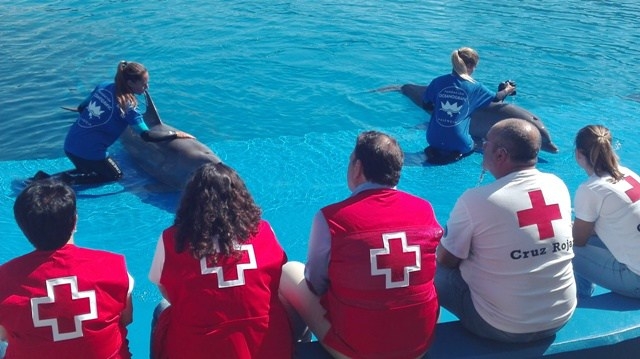 Comienzan los talleres de concienciación de Cruz Roja y el Oceanogràfic