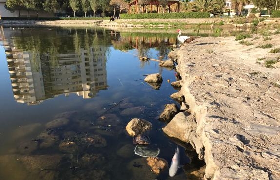 Tavernes invertirá 72.000 euros en mejoras de la Goleta y el Vergeret