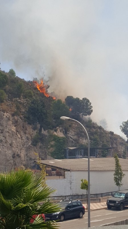 Incendio forestal en el Camí la Dula y CV-50 en Tavernes de la Valldigna