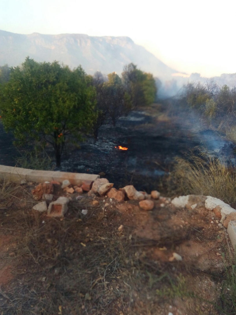 El incendio de Rajolar (Benifairó de la Valldigna), extinguido