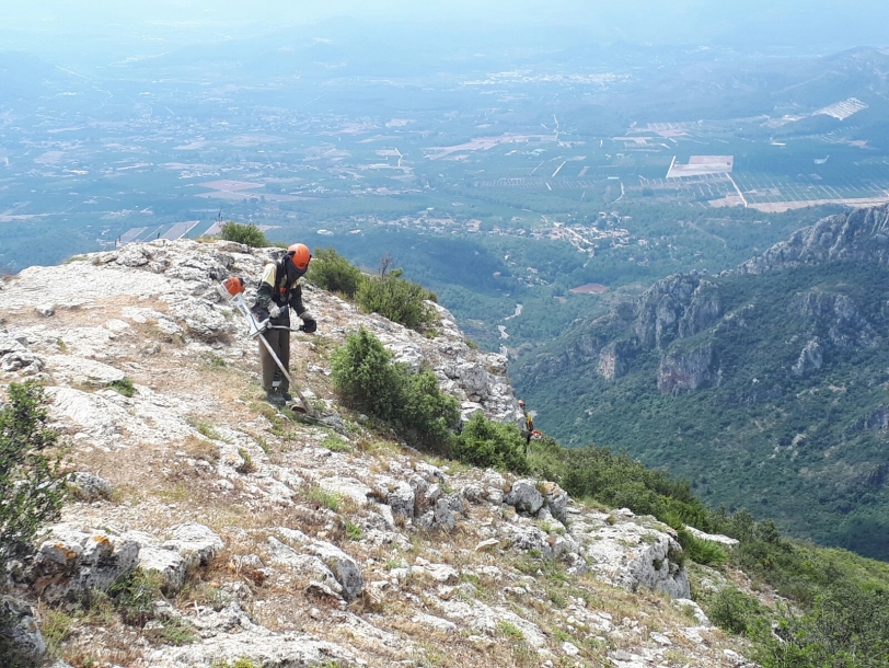 Divalterra acondiciona el entorno del observatorio forestal del Mondúver