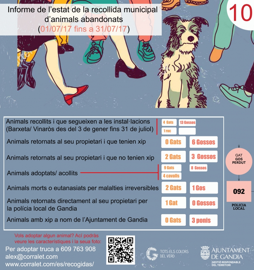 Informe de julio de recogida de animales abandonados en Gandia